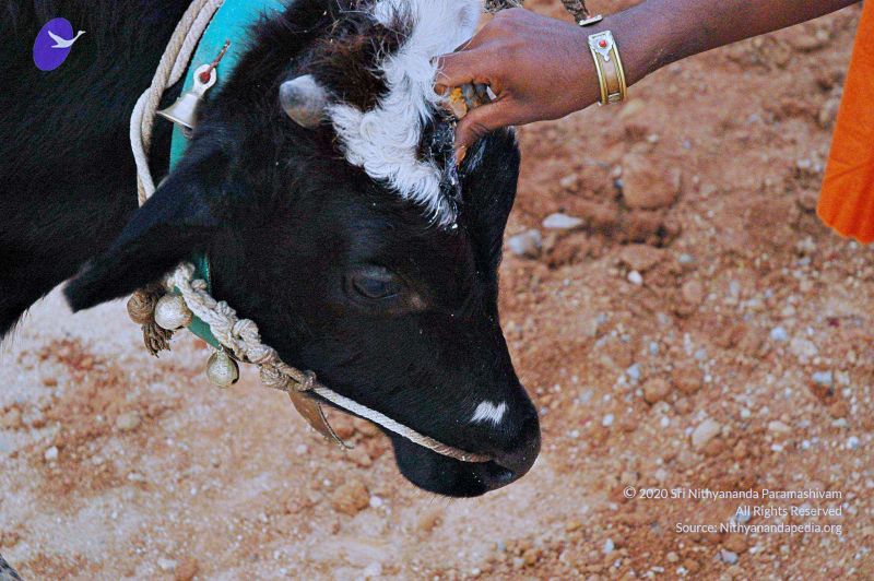 File:20071008 Photo 83 1Luj9wYe0bbkFq1cEw0IFdeO7TyoVZr7 .jpg