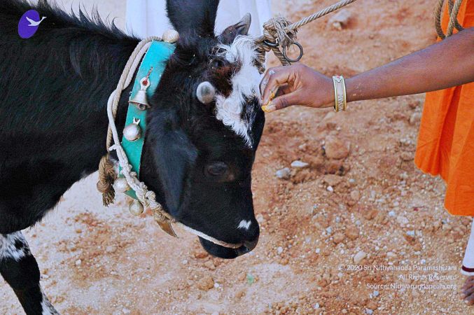 20071008 Photo 85 17YOiXNZDtPrmQvG Ijq5F04hwEBF8UaQ.jpg