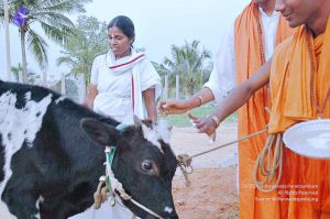 20071008 Photo 88 1q9xa5Sx7QhcGfoRuYwHIftPQMR13dhGy.jpg