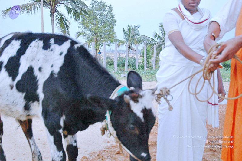 File:20071008 Photo 89 1IB33F82Yctp-kc6StcLHQERmoRBbT8zi.jpg