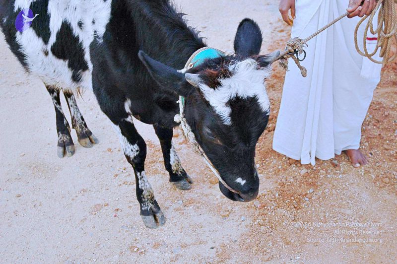 File:20071008 Photo 90 1ZiNfB8pKuK9yjDFpFog5fyJrXUDCM0AX.jpg