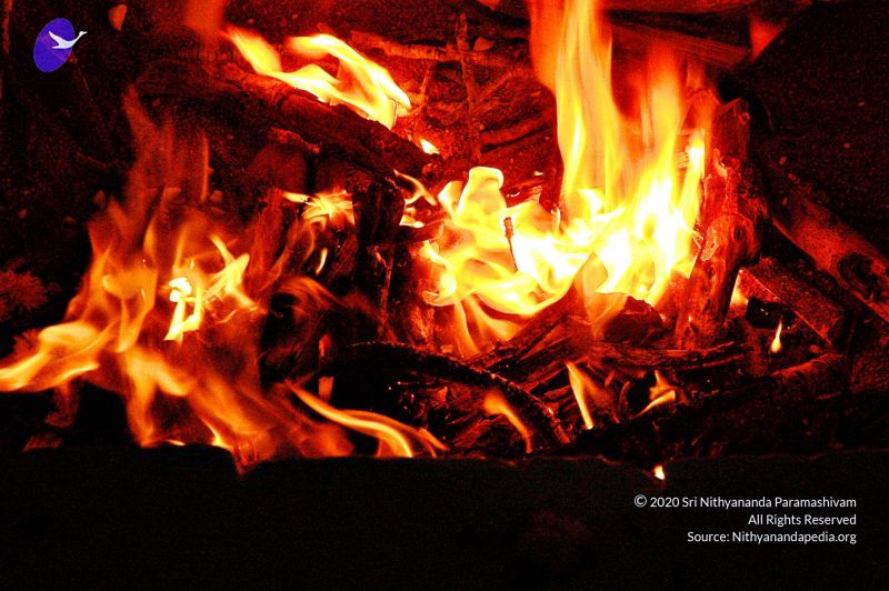 File:20071012 Photo 142 1zmgmk5m0IP6Ac94Lr2ZJKDpgIXlJR-QL.jpg