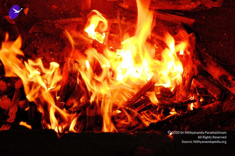 File:20071012 Photo 143 1-V8gcpiyvM2ndiMWT7TImcbhMHji7fVq.jpg