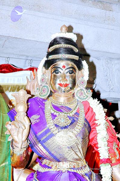 File:20071012 Photo 17 1rGpBxCqhNjiDZZqv2yYBMF5JYB27-a3 .jpg