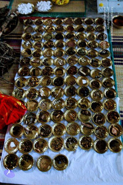 File:20071012 Photo 270 121IXJcTkTvem2xoXHoOZ6iAg90tLY4RX.jpg