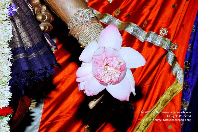 File:20071012 Photo 4 1TXuQNc9bx4Ajgv8xjxR4eTRUp6KepkPc.jpg