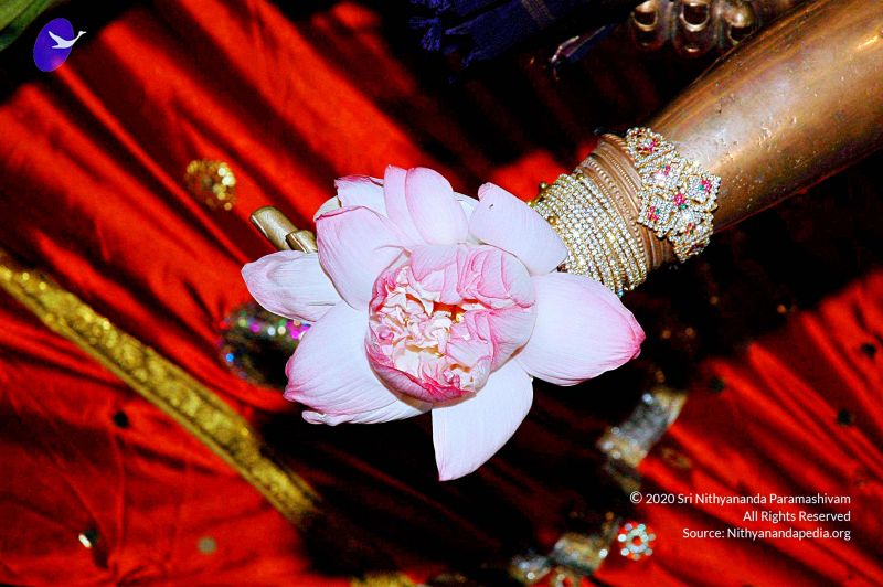 File:20071012 Photo 6 1K c6t9s9MkWi1sLMcVGOMrmOStCGZfa .jpg