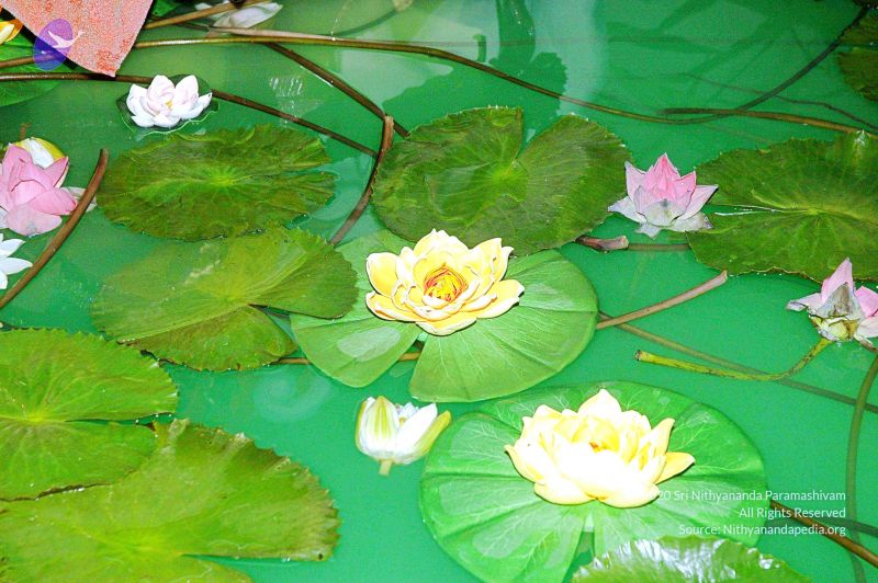 File:20071014 Photo 107 171wMEmTtEE-xIHABDfUNq 7tWVwTxOFa.jpg