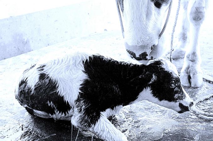 20071014 Photo 12 1uiCGtoE0fJTjeGN1-YRERP5Z o5W 6ZU.jpg