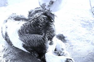 20071014 Photo 16 1wnEkN6qUjSwlM9SvN0TtwymjFSJsBKyc.jpg