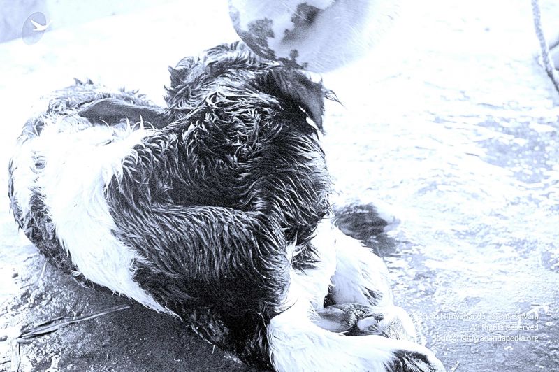 File:20071014 Photo 16 1wnEkN6qUjSwlM9SvN0TtwymjFSJsBKyc.jpg