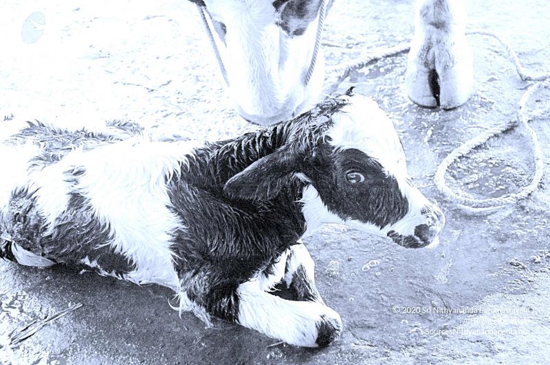 File:20071014 Photo 26 13t2JNDodN5MPMC7v7q 7iTDKeHBGt1xv.jpg