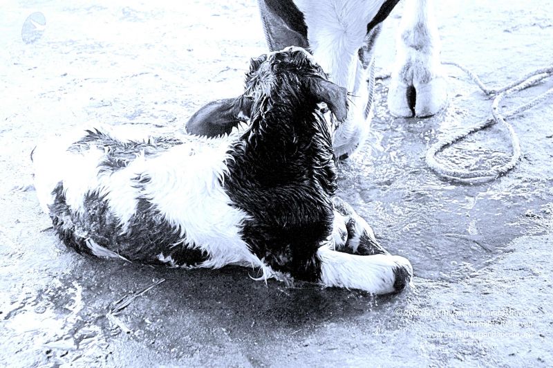 File:20071014 Photo 37 1Klwdhu4JUutQourpbqft8wz031ei90dx.jpg