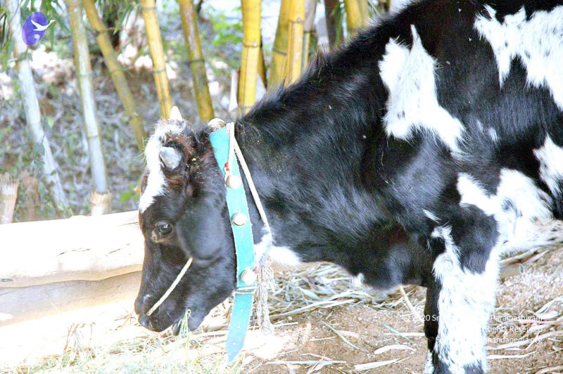 File:20071014 Photo 3 1Vms18kKTVSL3elj2sQdjNF0AkzmnJGF4.jpg