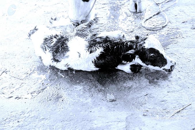 20071014 Photo 42 1-43QBEkdI3Nvhy4dTD2v9ZbQ6LXI0IMF.jpg