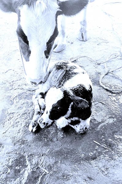 File:20071014 Photo 4 1DxTRnOYeGvP9Ecv2d4kiUIJ0qBn1KQGK.jpg