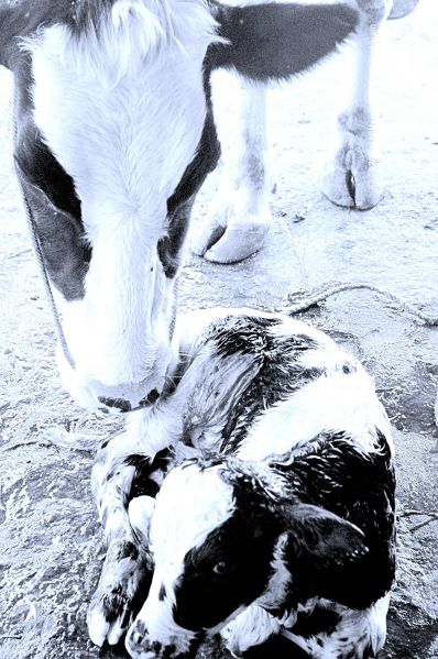 File:20071014 Photo 5 1vIoPbkI7p8jpTeFGKUWWWOBZWDYXqG q.jpg