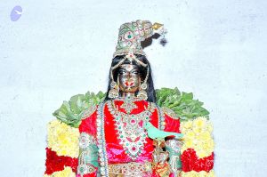 20071017 Photo 110 14jrLsSxKifv 1FQeGifakzWE 4g9Zx3j.jpg