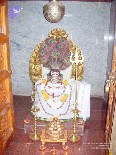 File:20071124 Photo 146 1Y02sTtd6sd3e-CHn1PjyfDMk-3T8x3tw.jpg