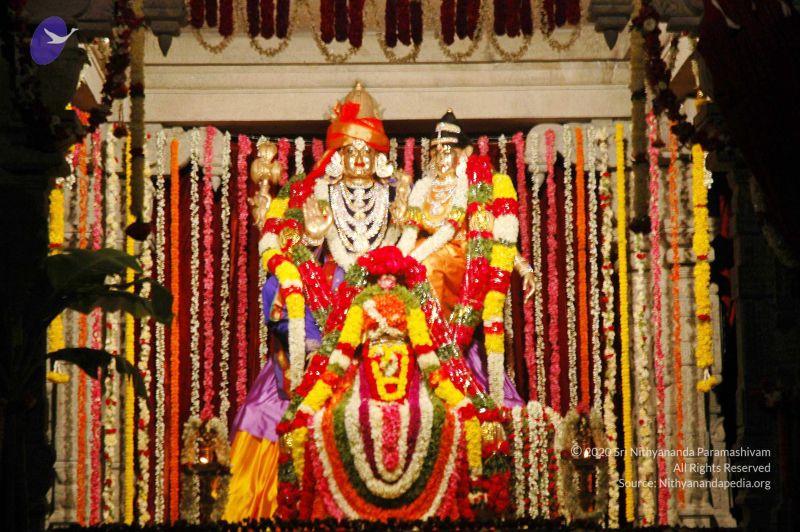 File:20071210 DSC 2544 CMP WM01.jpg