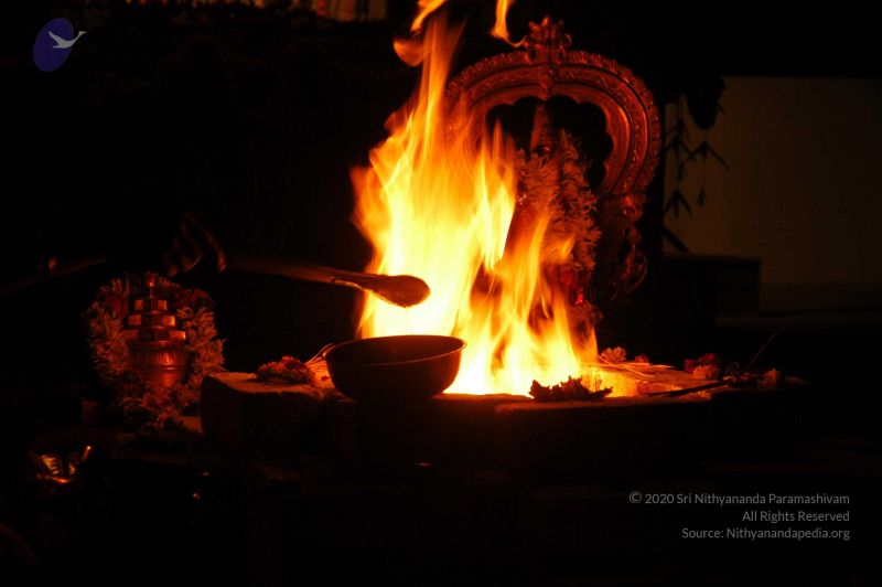 File:20071210 DSC 2551 CMP WM01.jpg