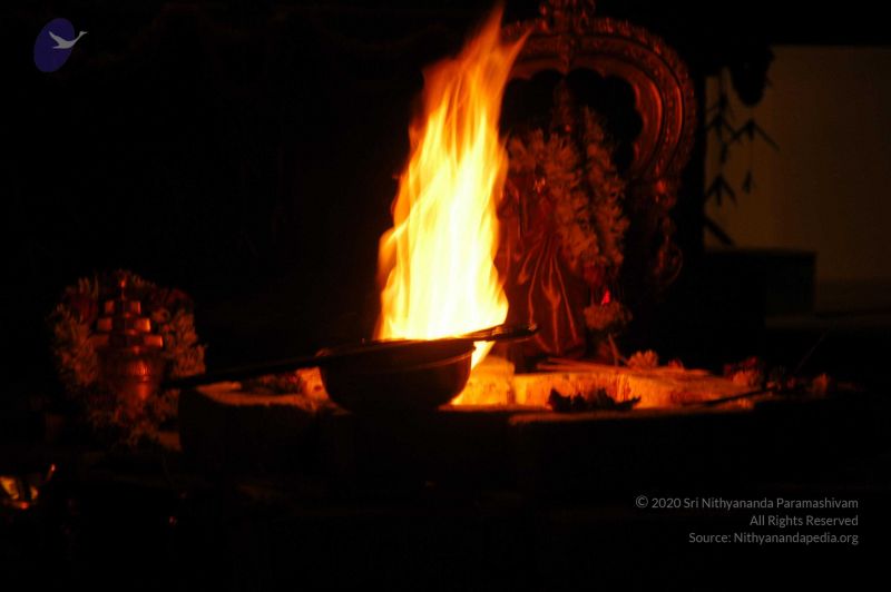 File:20071210 DSC 2552 CMP WM01.jpg