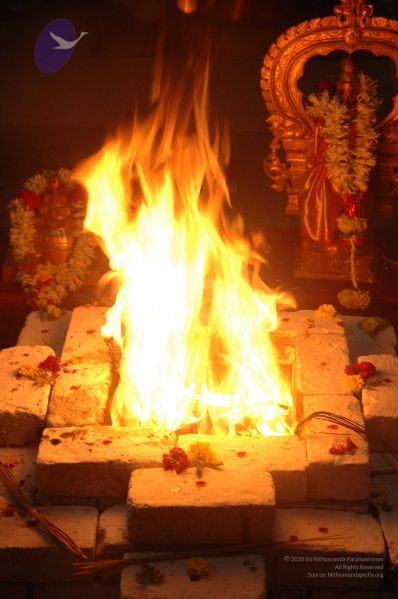 File:20071210 DSC 2619 CMP WM01.jpg