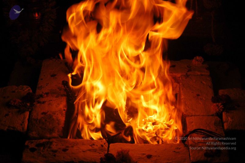 File:20071210 DSC 2621 CMP WM01.jpg