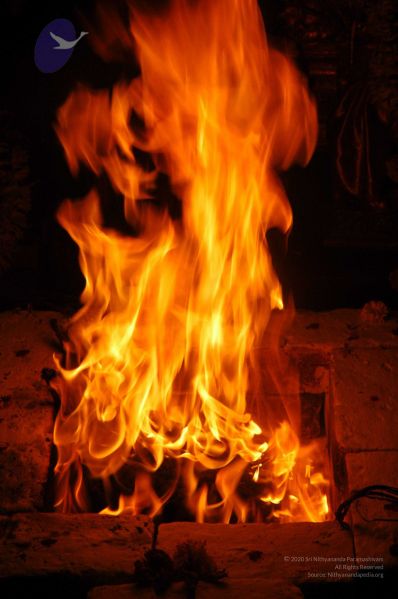 File:20071210 DSC 2622 CMP WM01.jpg