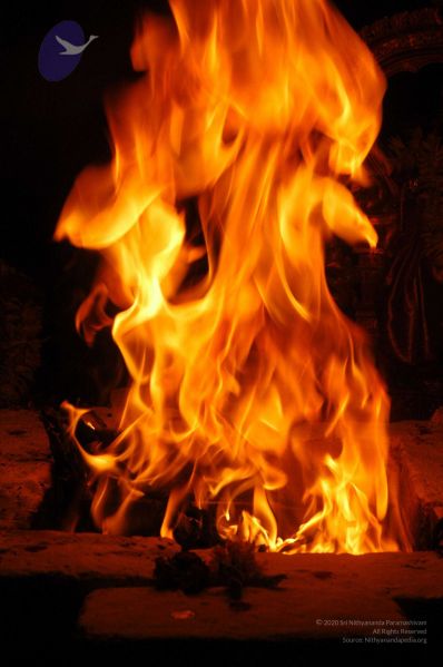 File:20071210 DSC 2624 CMP WM01.jpg