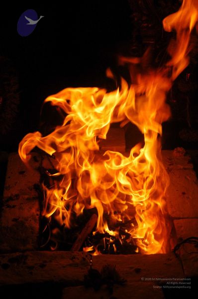 File:20071210 DSC 2626 CMP WM01.jpg