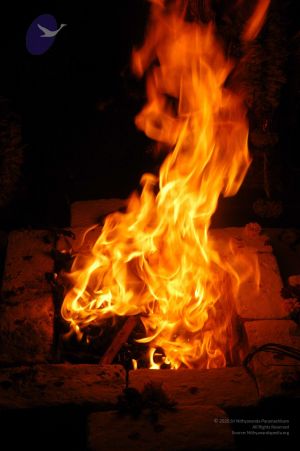 20071210 DSC 2627 CMP WM01.jpg