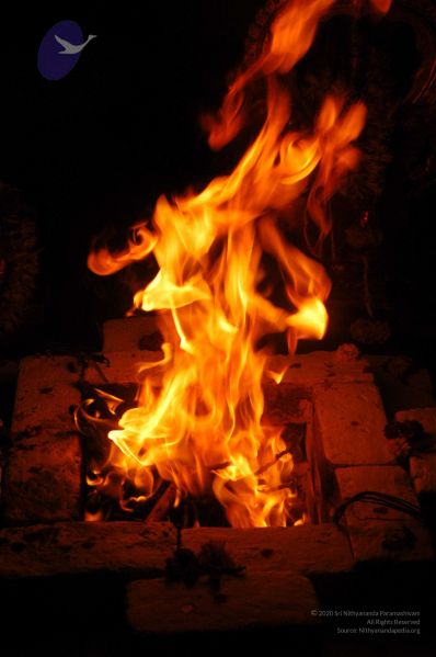 File:20071210 DSC 2628 CMP WM01.jpg