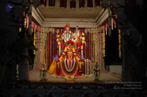 20071210 DSC 2639 CMP WM01.jpg