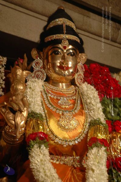 File:20071210 DSC 2651 CMP WM01.jpg