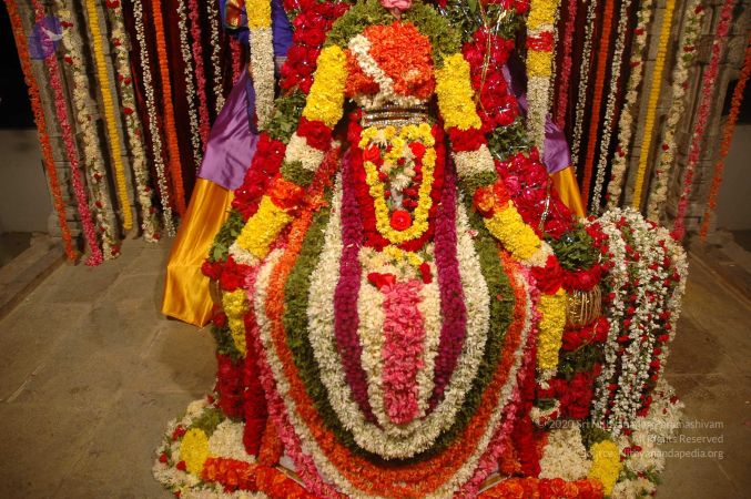 20071210 DSC 2659 CMP WM01.jpg