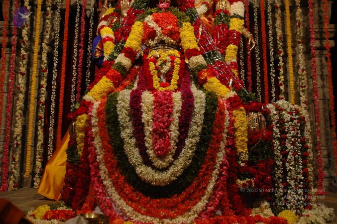 20071210 DSC 2667 CMP WM01.jpg