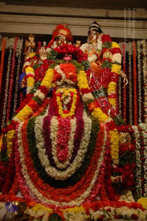 20071210 DSC 2669 CMP WM01.jpg