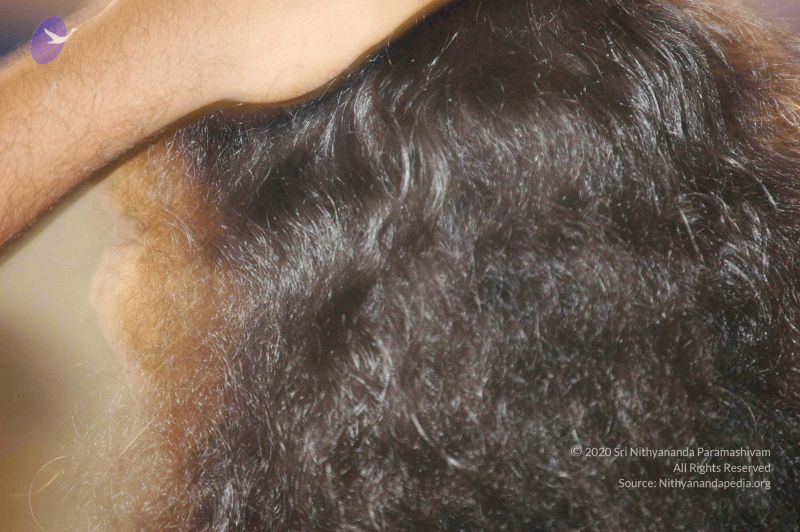 File:20071212 Photo 272 1QQbvzFiPCXkY11gF4yKeyn0EONNyD1TF.jpg