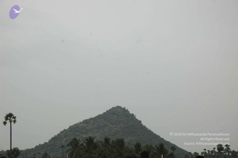 File:20071212 Photo 376 1NcJ9GHthflX3ZSbjjfO3U0oopDZDM0kx.jpg