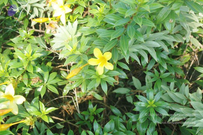 20071212 Photo 917 1NfdnaGwhSo8l0vpIhy7sBdKhT14RLMjI.jpg