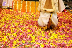 20071215 Photo 17 1IWrlnXzjZ5irghzgLGtQBEU5FIlYTyMN.jpg