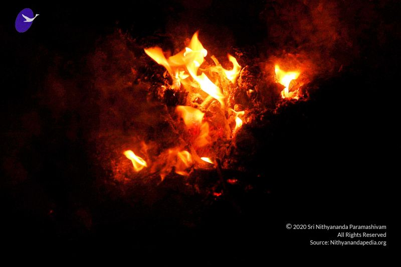 File:20071215 Photo 371 1ktiRlD61SExFmpeFYSkecCK6xaPduOqW.jpg