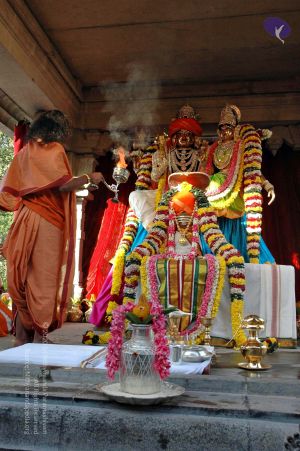 20071223 flaghoist 7524 CMP WM.jpg