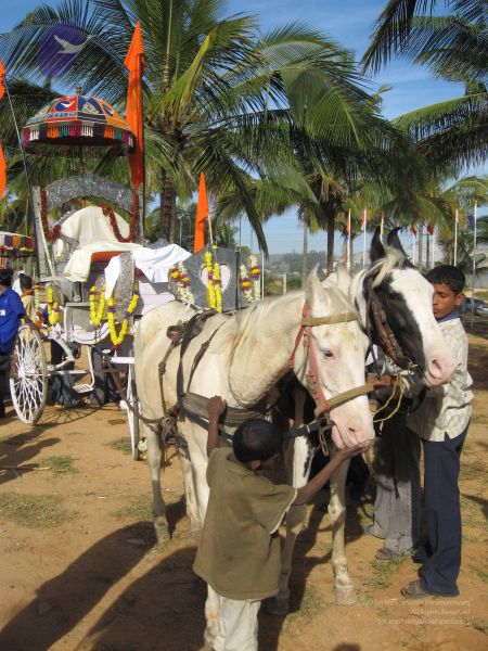 File:20071225 Photo 1040 10GQYvTDHOy479417PQ7lmSRec4QowJrx.JPG