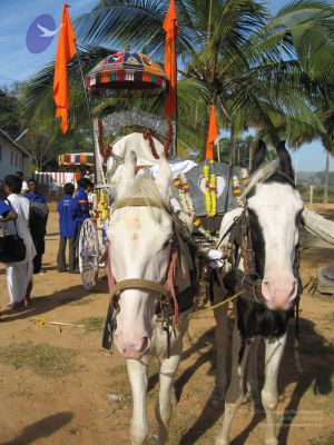 20071225 Photo 1041 1upsUfrHGF3QSP3pVR2f8OMDraXifsJF3.JPG