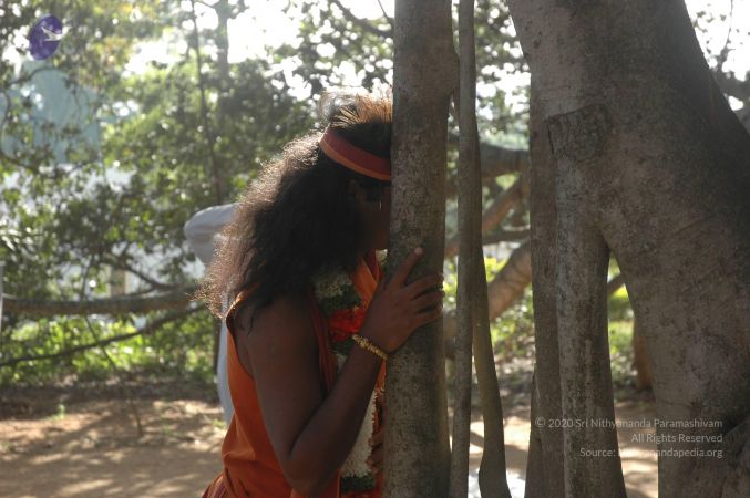 20071225 Photo 1672 1zkVozIRB4379GPMhYEJzXwBEiA3aM bo.JPG