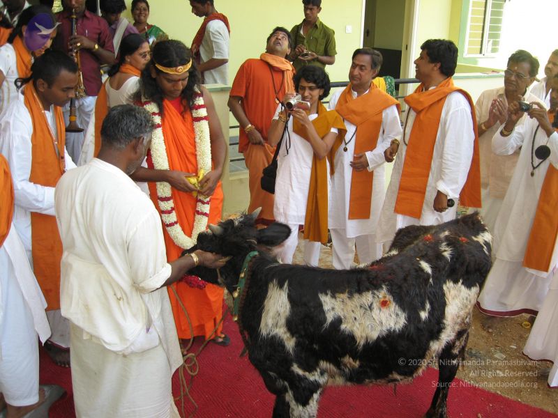 File:20071227 Photo 1012 1C u61TSenznQ-mmXzliymWg4cdtJxC98.JPG