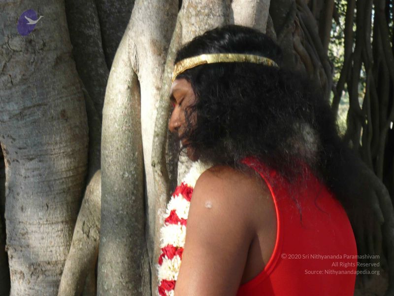 File:20071227 Photo 1352 1Uwc-p-IlQsTuhBawINUowfX bJ5-NqXq.JPG