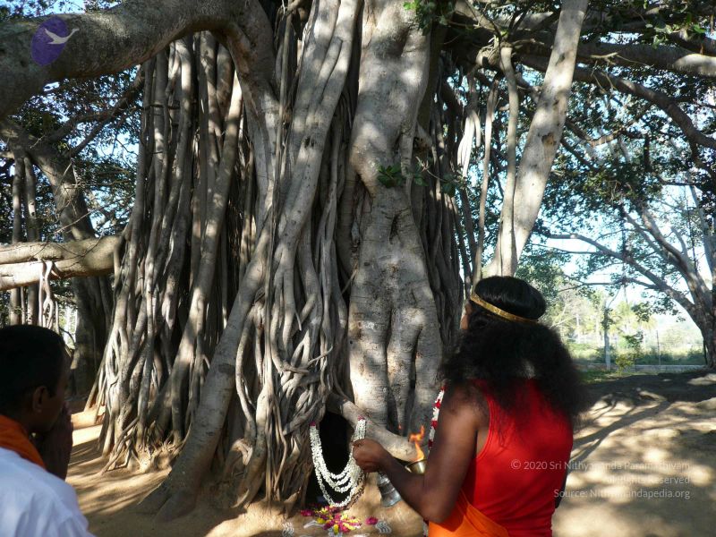 File:20071227 Photo 1354 197dakXqY3qHuF1f8q4mbHcGzEUTd8PF3.JPG